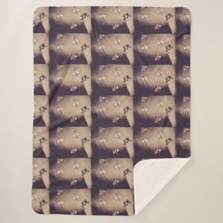 cobertor do velo de pintura rosa