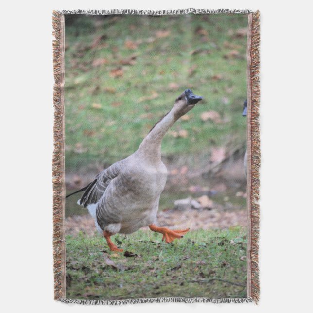 cobertor do velo do ganso do bobo (Frente Vertical)