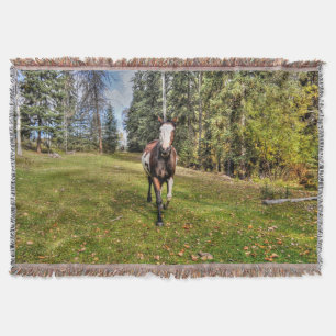 Cobertor Executando Pinto Pintor Cavalo e Floresta em Ranch