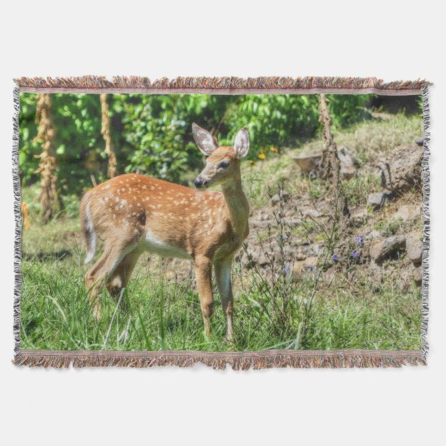 Cobertor Fawn (Frente)