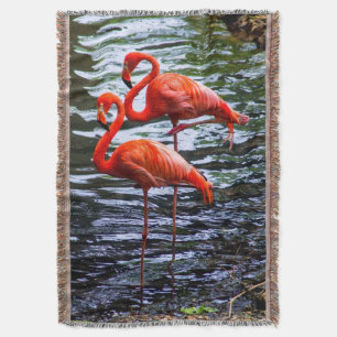 Cobertor Flamingos Rosa na Água