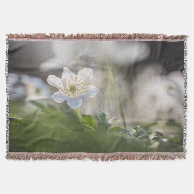 Cobertor Foto Windflower Nature (Frente)