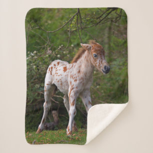 Cobertor Freckles Sherpa