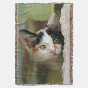 Cobertor Gatinho Curioso Curioso Olhando com Olhos Rezados