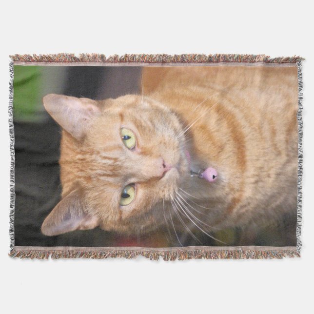 Cobertor Gato (Frente)