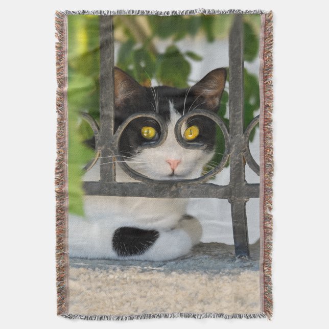 Cobertor Gato curioso com óculos Engraçado - macio (Frente Vertical)