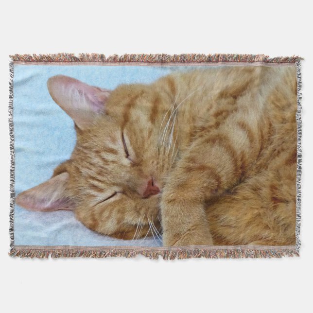 Cobertor Gato Dormindo (Frente)