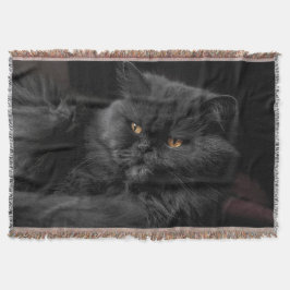 Cobertor Gato Persa Preto