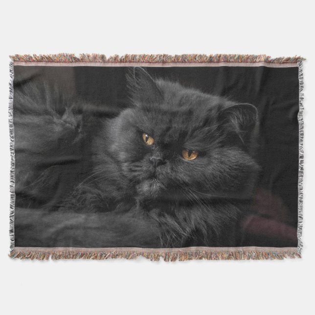 Cobertor Gato Persa Preto (Frente)