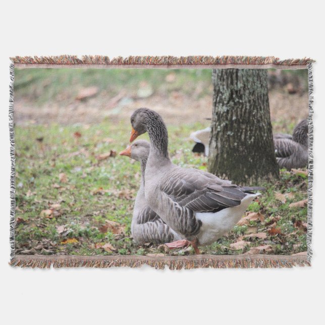 Cobertor Geese (Frente)