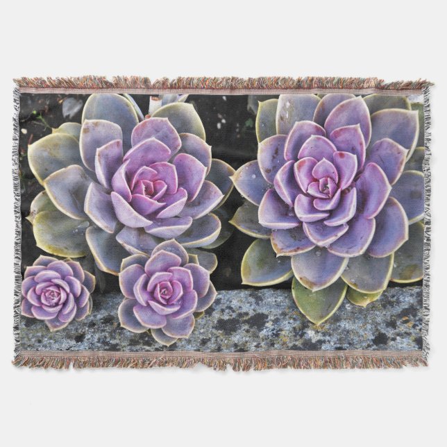 Cobertor gh (Frente)