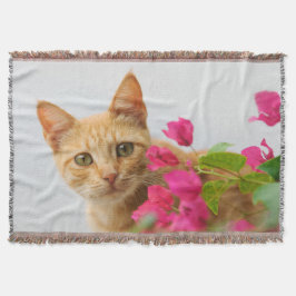 Cobertor Ginger Kitten Cute Observando