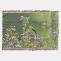 Goldfinch em uma Flor Harebell