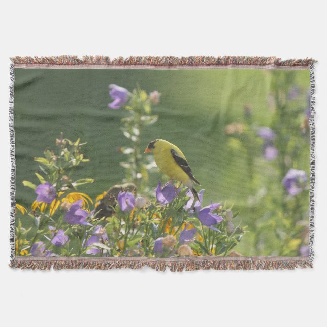 Cobertor Goldfinch em uma Flor Harebell (Frente)