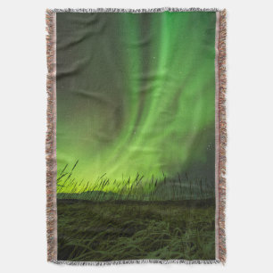Cobertor Grasslands Aurora