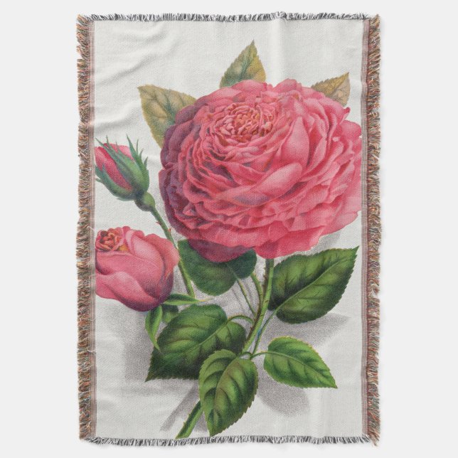 Cobertor Ilustração de Rosa Rosa Vintage (Frente Vertical)