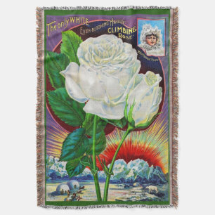 Cobertor Ilustração do catálogo de rosa de 1890 White Ro