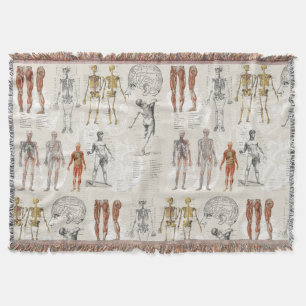 Cobertor Ilustrações de Biologia da Anatomia Vintage