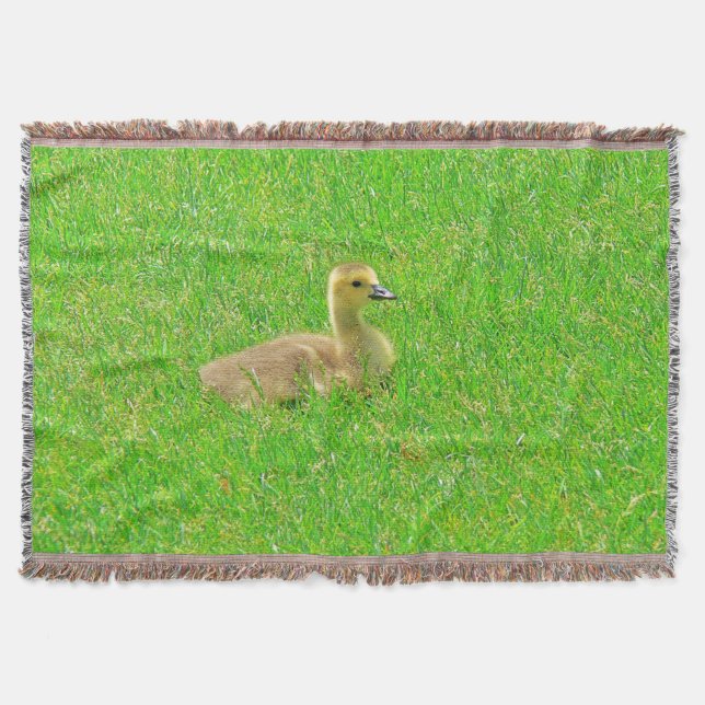 Cobertor Largura (Frente)