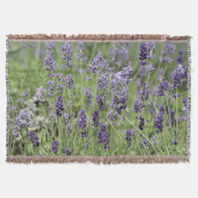 Cobertor Lavanda (Frente)