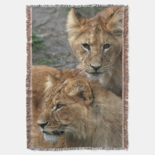 Cobertor Leão 033
