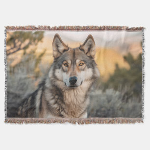 Cobertor Lobo na natureza