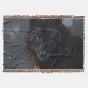 Cobertor lobo negro