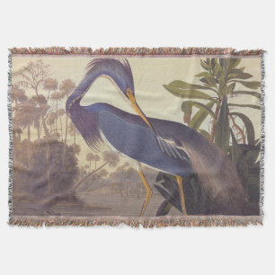 Cobertor Lousiana Heron em Cinzas, Verde e Azul em Audubon