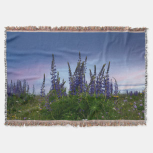 Cobertor Lupins  