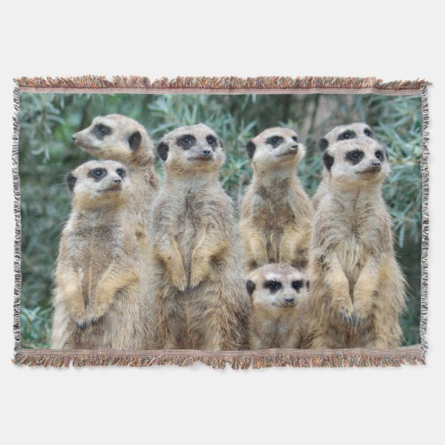 Cobertor Meerkat 006 (Frente)