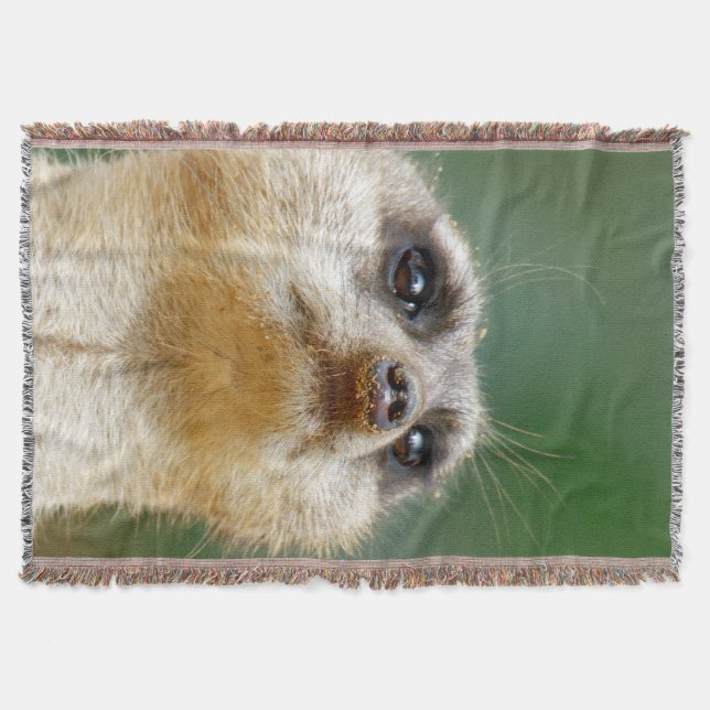 Cobertor Meerkat 012 (Frente)