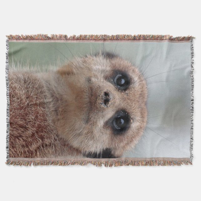 Cobertor Meerkat 020 (Frente)