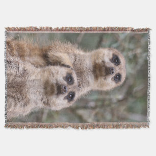 Cobertor Meerkat 035