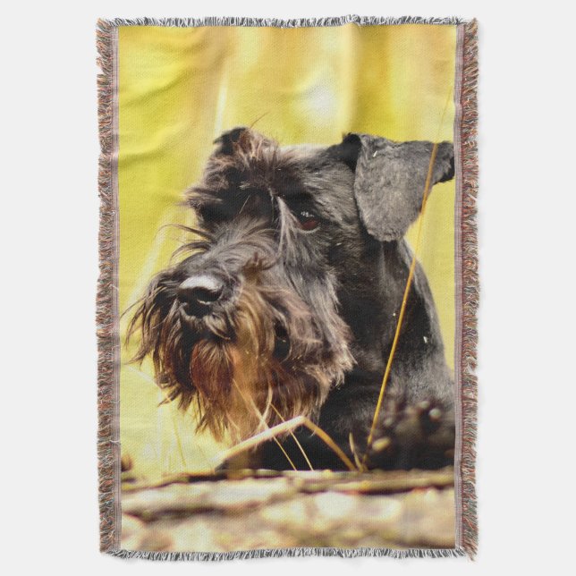 Cobertor Miniatura-schnauzer (Frente Vertical)