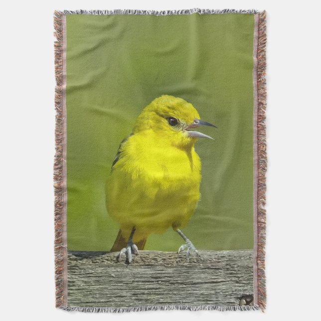 Cobertor Orchard Oriole - Fotografia original (Frente Vertical)