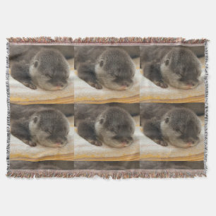 Cobertor Otters Sonolento
