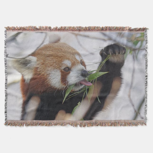 Cobertor Panda Vermelha Fome (Frente)