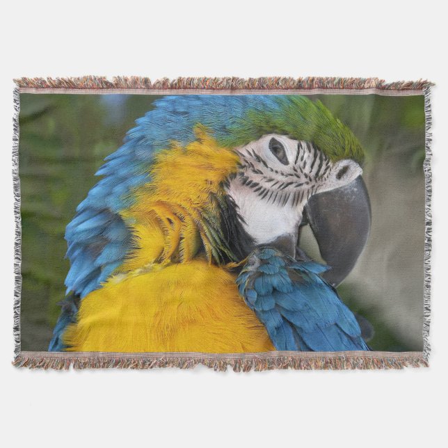 Cobertor Papagaio Azul e Dourado (Frente)