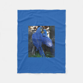 cobertor _ papagaios