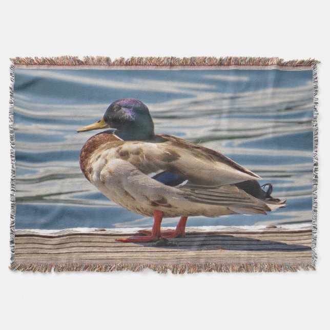 Cobertor Pato-real à Beira da Praia (Frente)