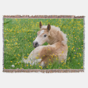 Cobertor Pé de cavalo Haflinger descendo num leito de flore