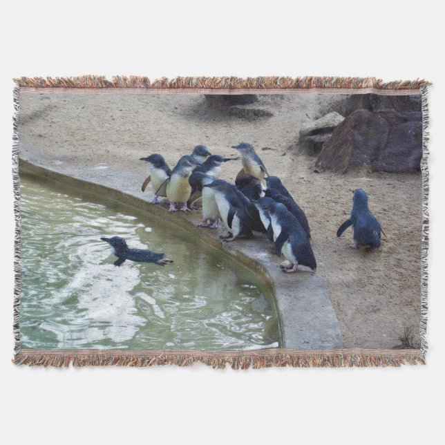Cobertor Penguin Relay: Equipe de Natação de Pinguins (Frente)