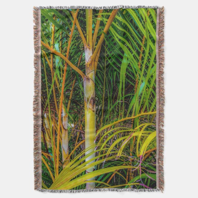 Cobertor Perdida em Areca Palms Joga Cobertura (Frente Vertical)