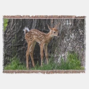 Cobertor Pernas Shaky Fawn