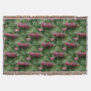 Cobertor Pine Cones E Pine Agulha