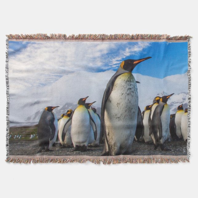 Cobertor Pinguins Marching Blue Sky (Frente)