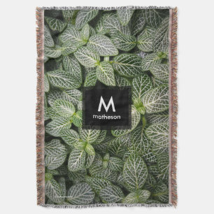 Cobertor Planta Mosaico Fittonia com Folhas Variegadas