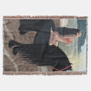 Cobertor Preenchimento - Aberto/Decor de Parede