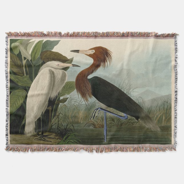 Cobertor Púrpura Heron Audubon Bird Willife Painting (Frente)