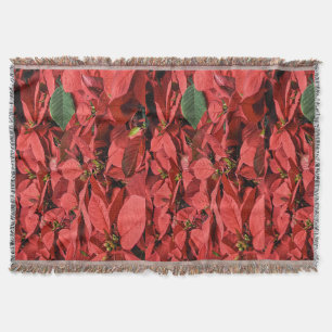 Cobertor Red Poinsettia Feriado Banquete de Natal